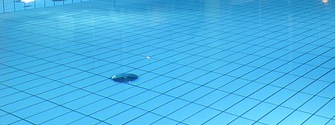 Einbrecher schwimmen ins Netz Einbrecher schwimmen ins Netz